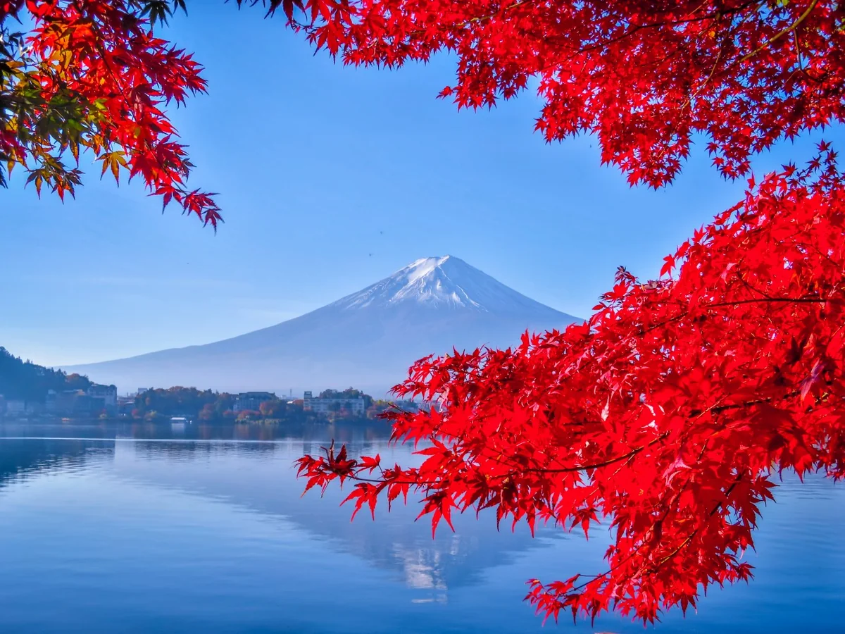 投稿写真：紅葉逆さ富士