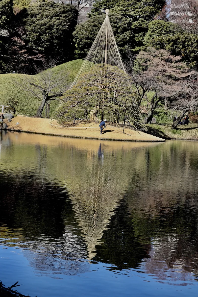 投稿写真：写し絵