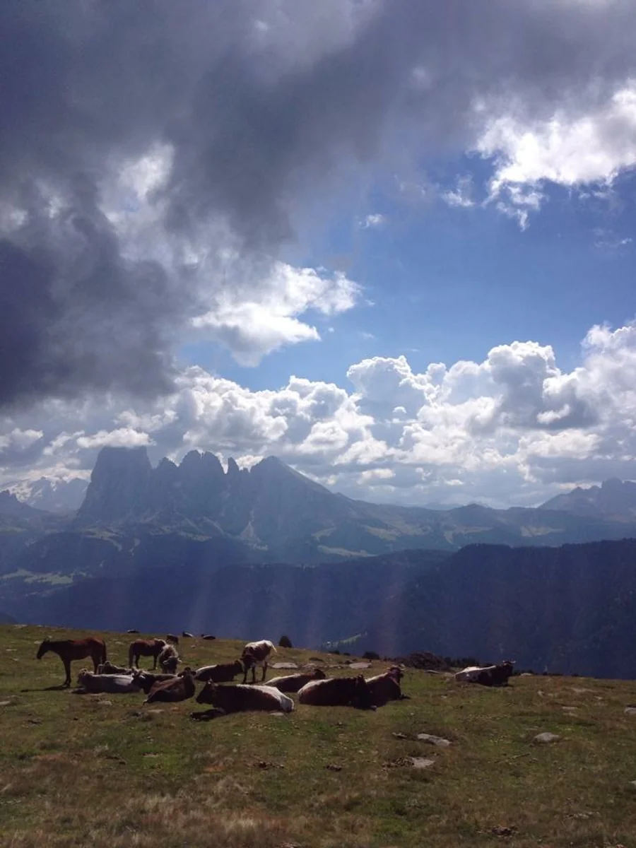 投稿写真：ドロミテの散歩