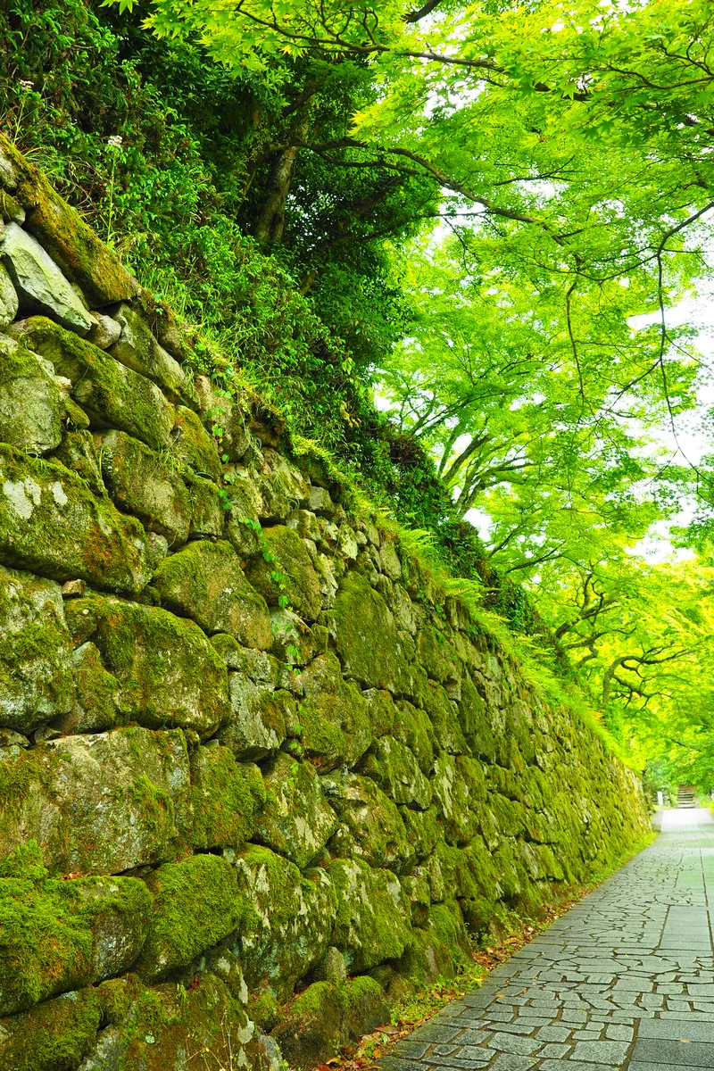 投稿写真：穴太の石積み