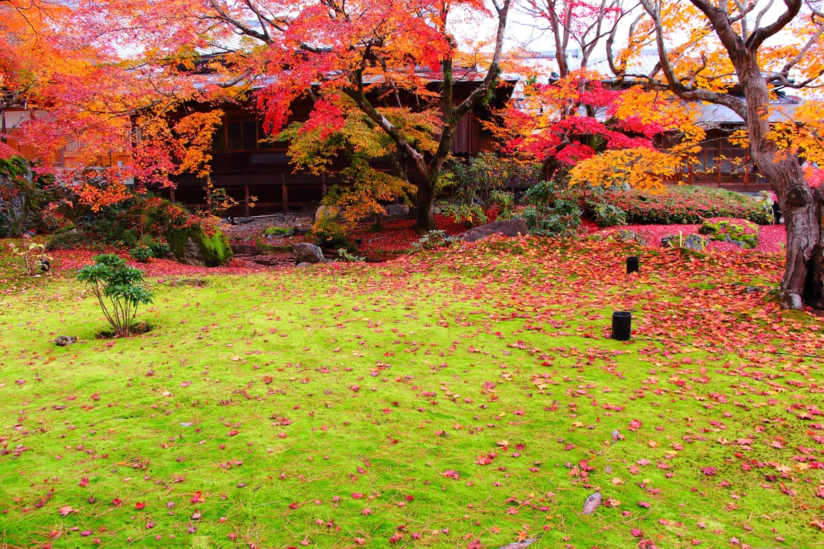 KNDさんの投稿写真