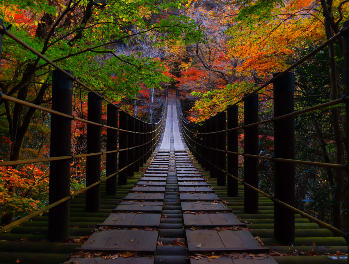 投稿写真：紅葉🍁シーズンが始まりますね