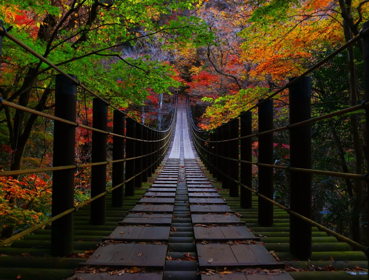 投稿写真：紅葉🍁シーズンが始まりますね