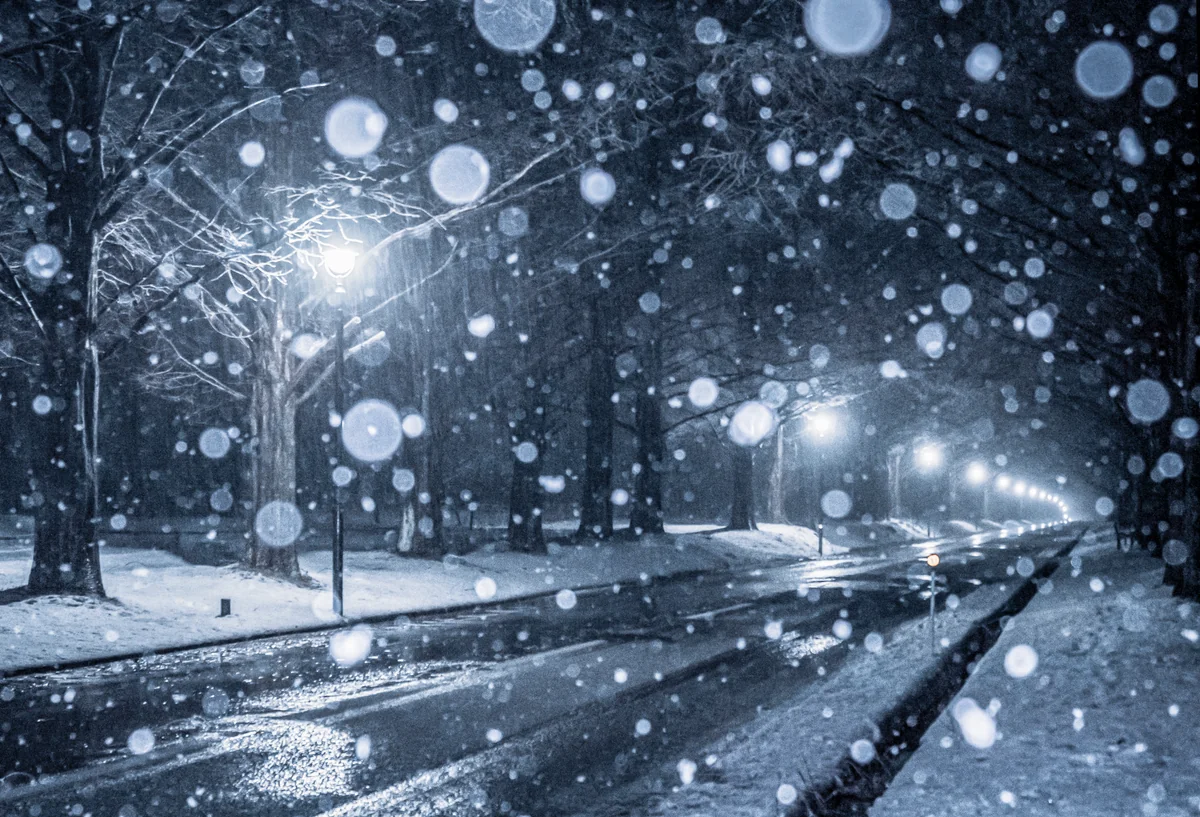 駒井隆広さんの投稿写真