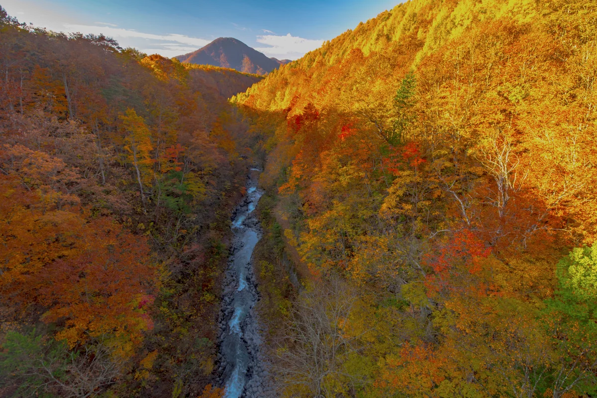 投稿写真：中津川渓谷