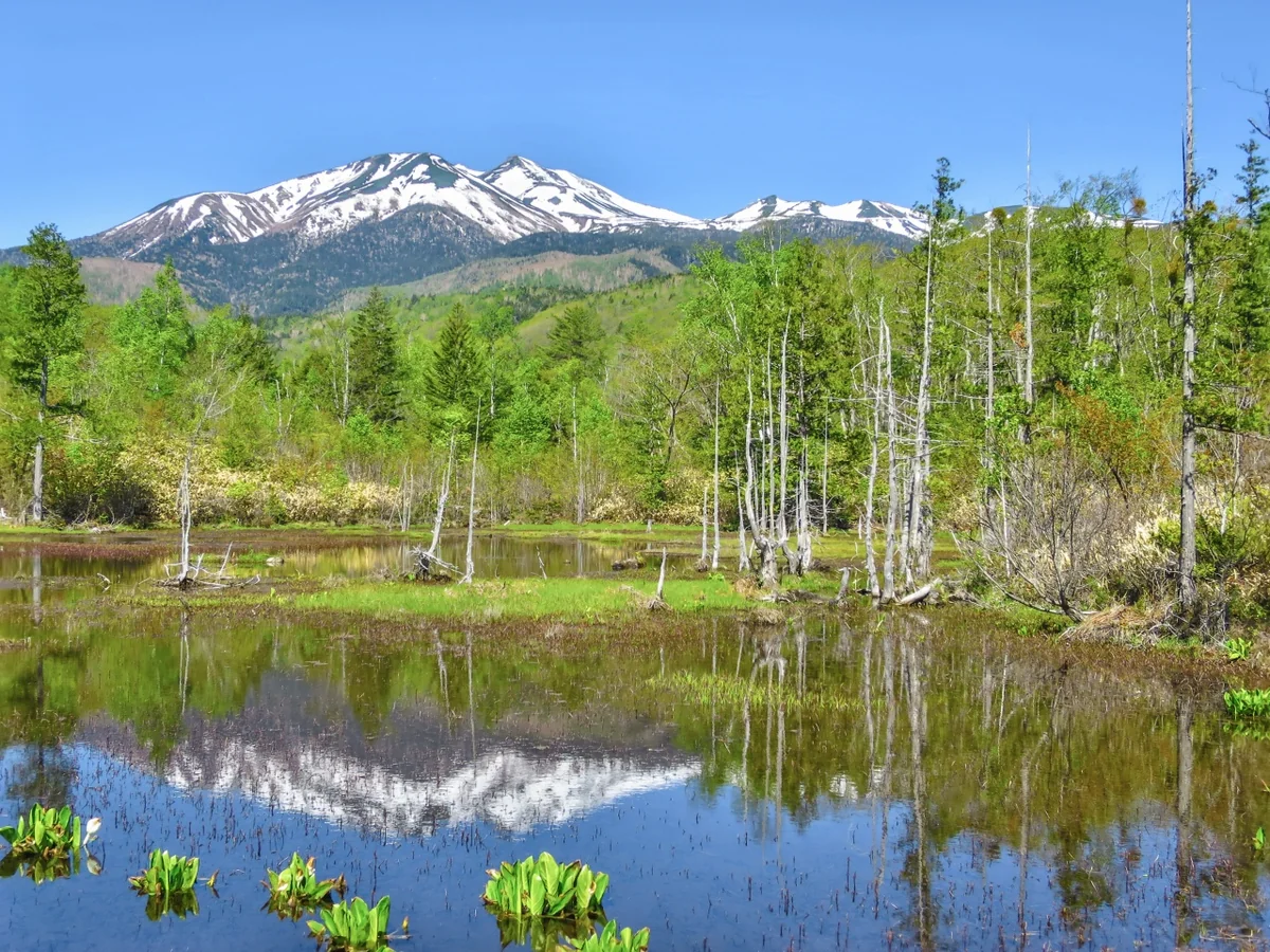 投稿写真：どじょう池に写る残雪の乗鞍岳