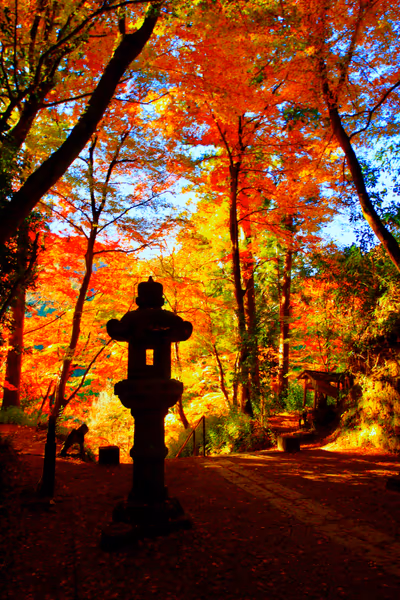 投稿：香嵐渓の紅葉美