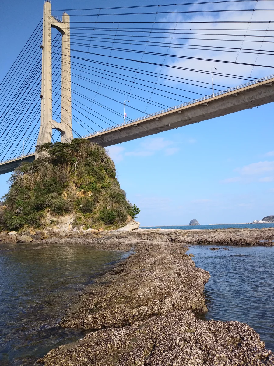 投稿写真：弁天島に付き出した突堤磯