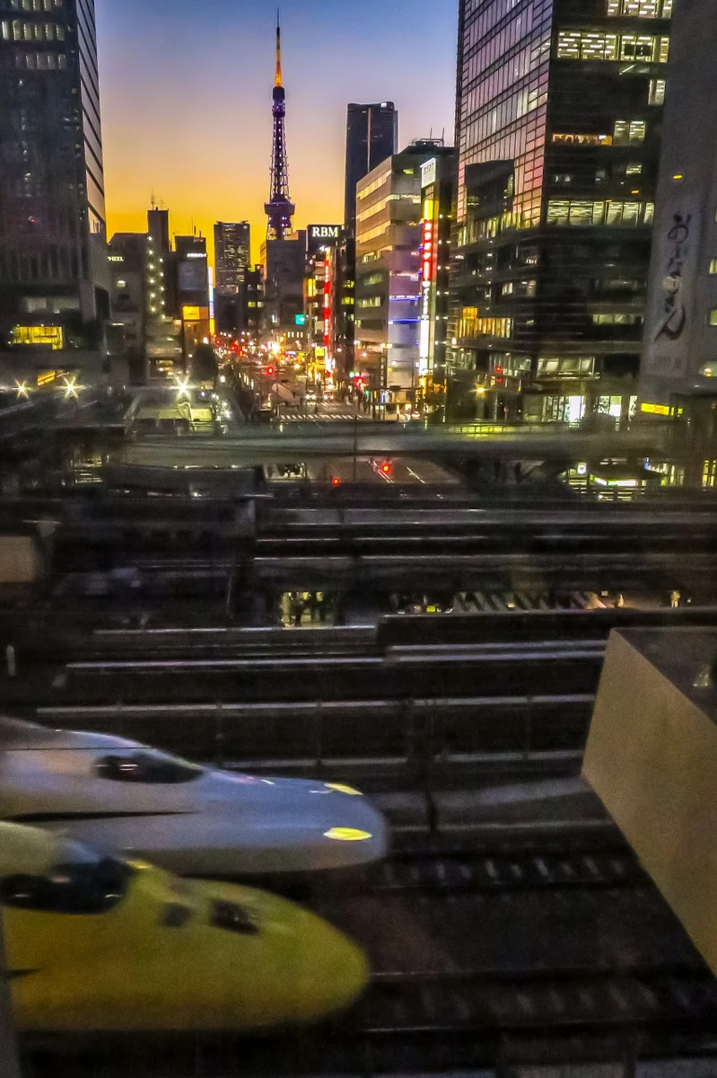 投稿写真：並んだ！白と黄色！