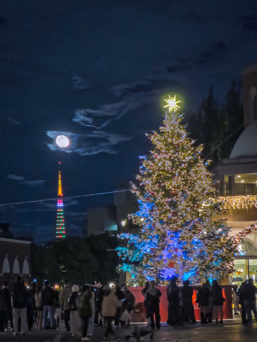 投稿写真：クリスマスツリーと東京タワーと居待月