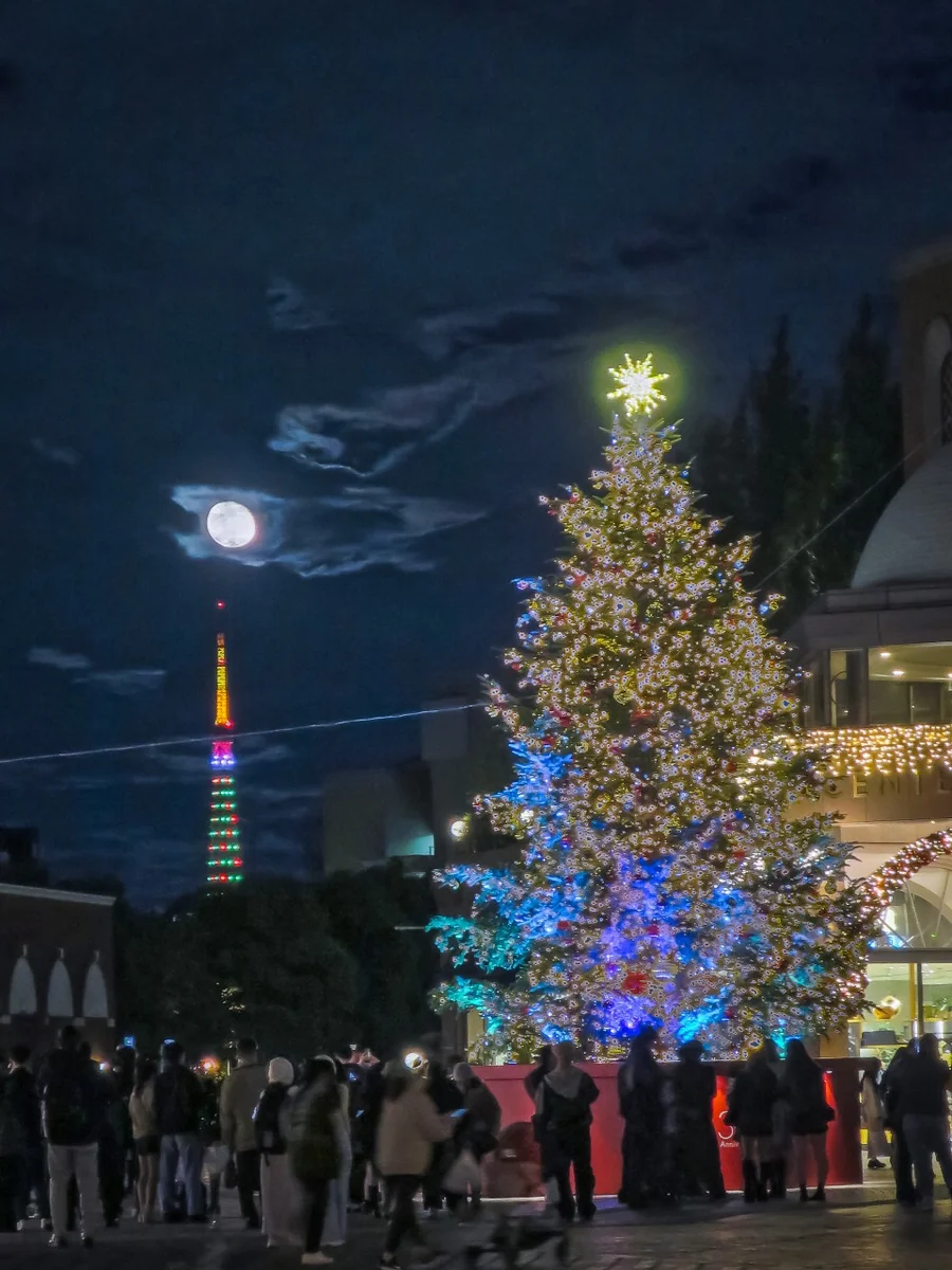 投稿写真：クリスマスツリーと東京タワーと居待月