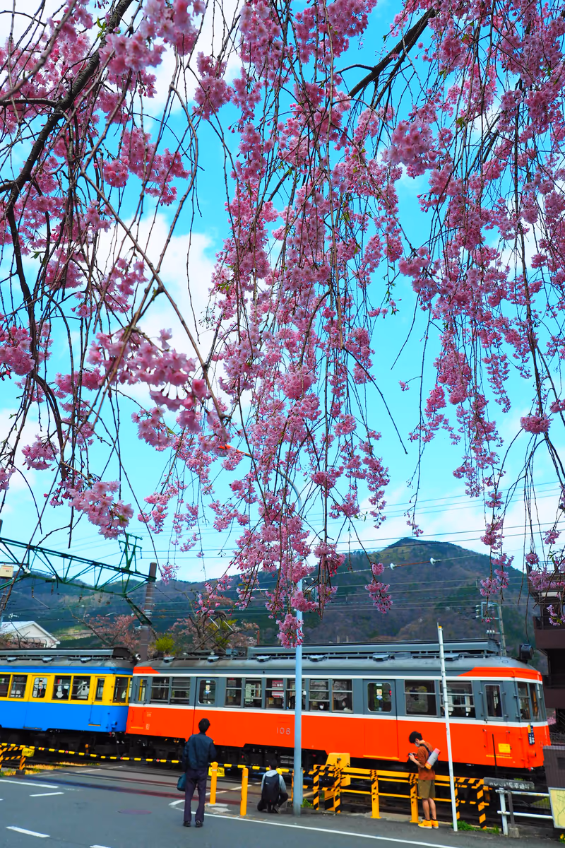 投稿写真：列車の通過待ち