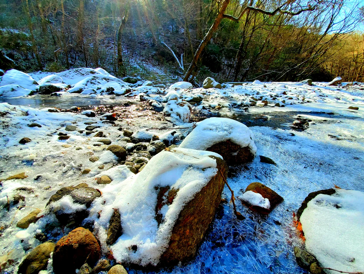 投稿写真：凍った川