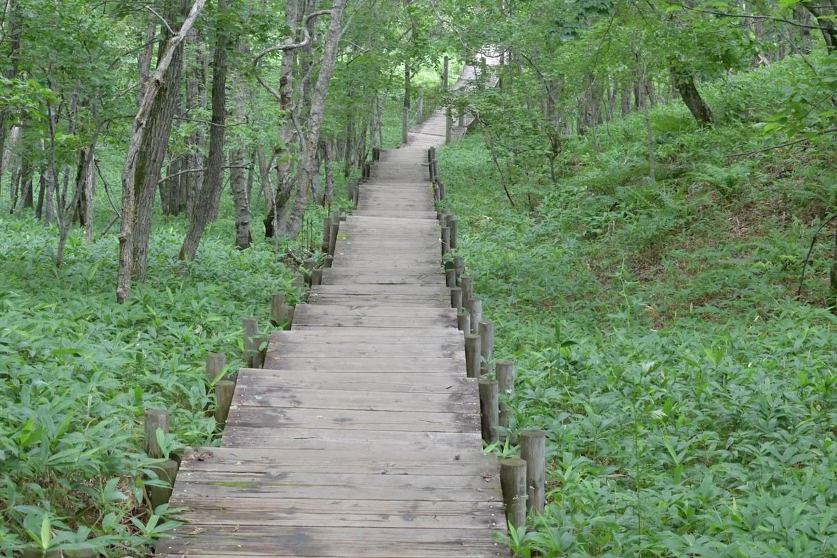 投稿写真：この先には何がある？