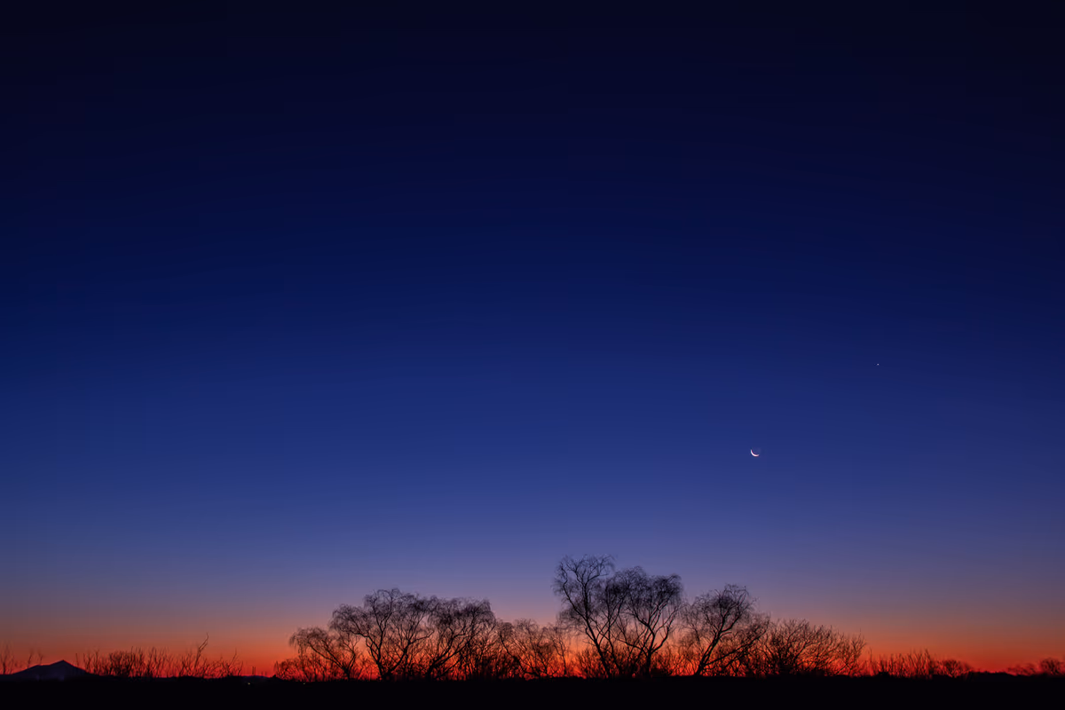 投稿写真：夜明けと月