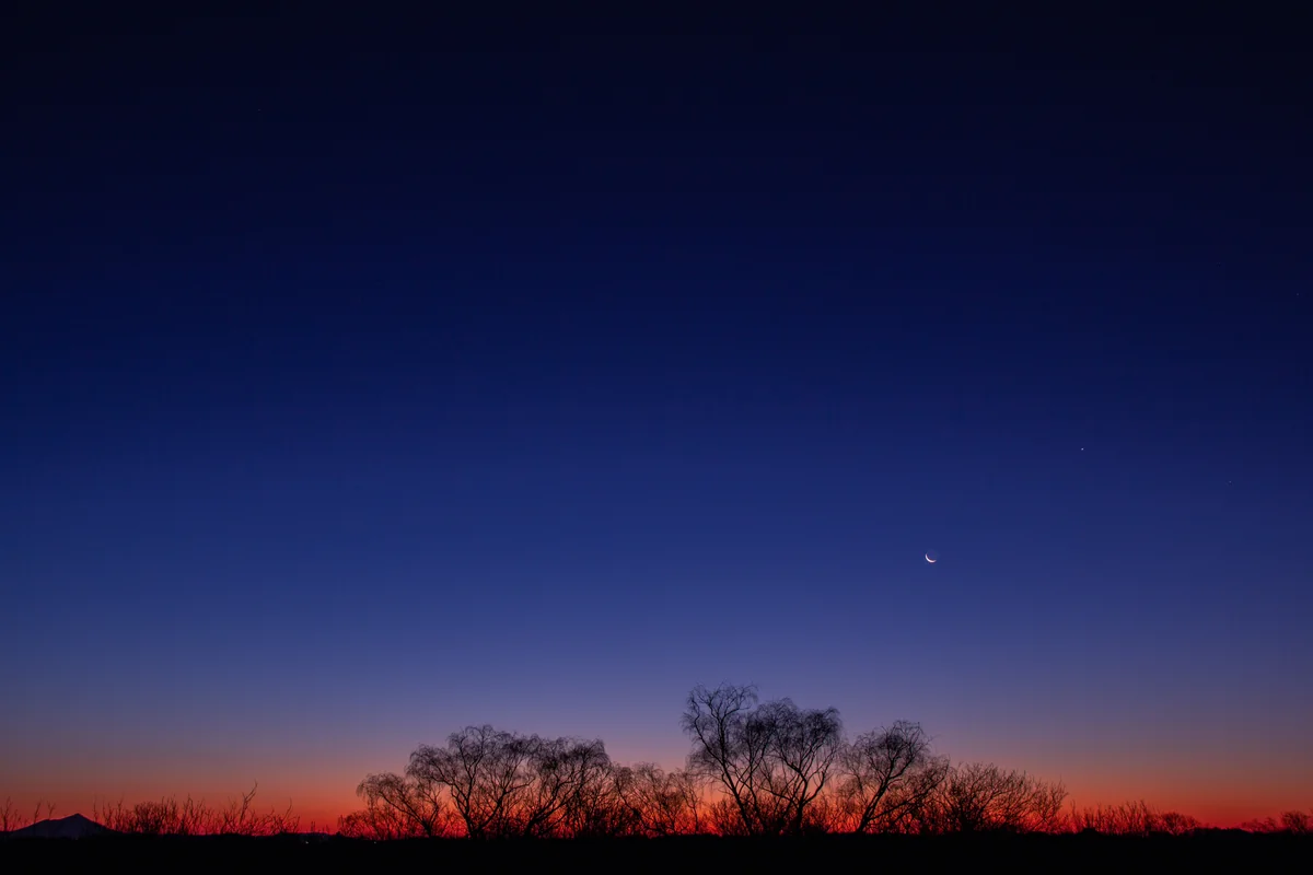 投稿写真：夜明けと月