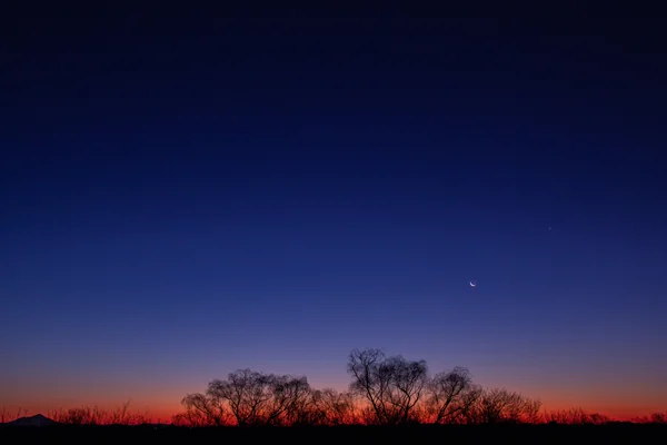 投稿：夜明けと月