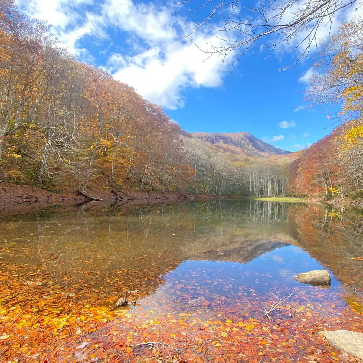 投稿写真：長沼