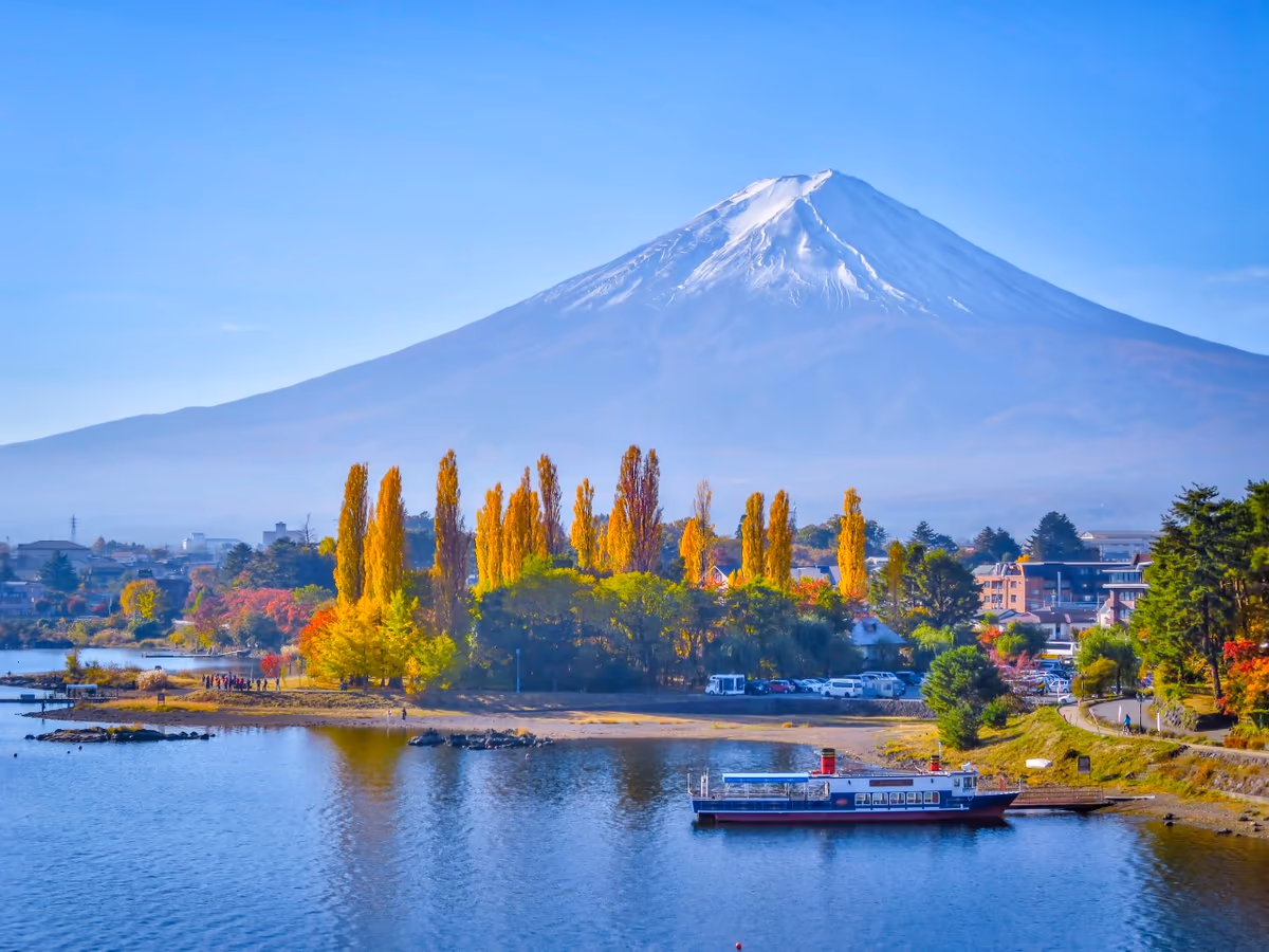 投稿写真：ポプラの黄葉と富士山
