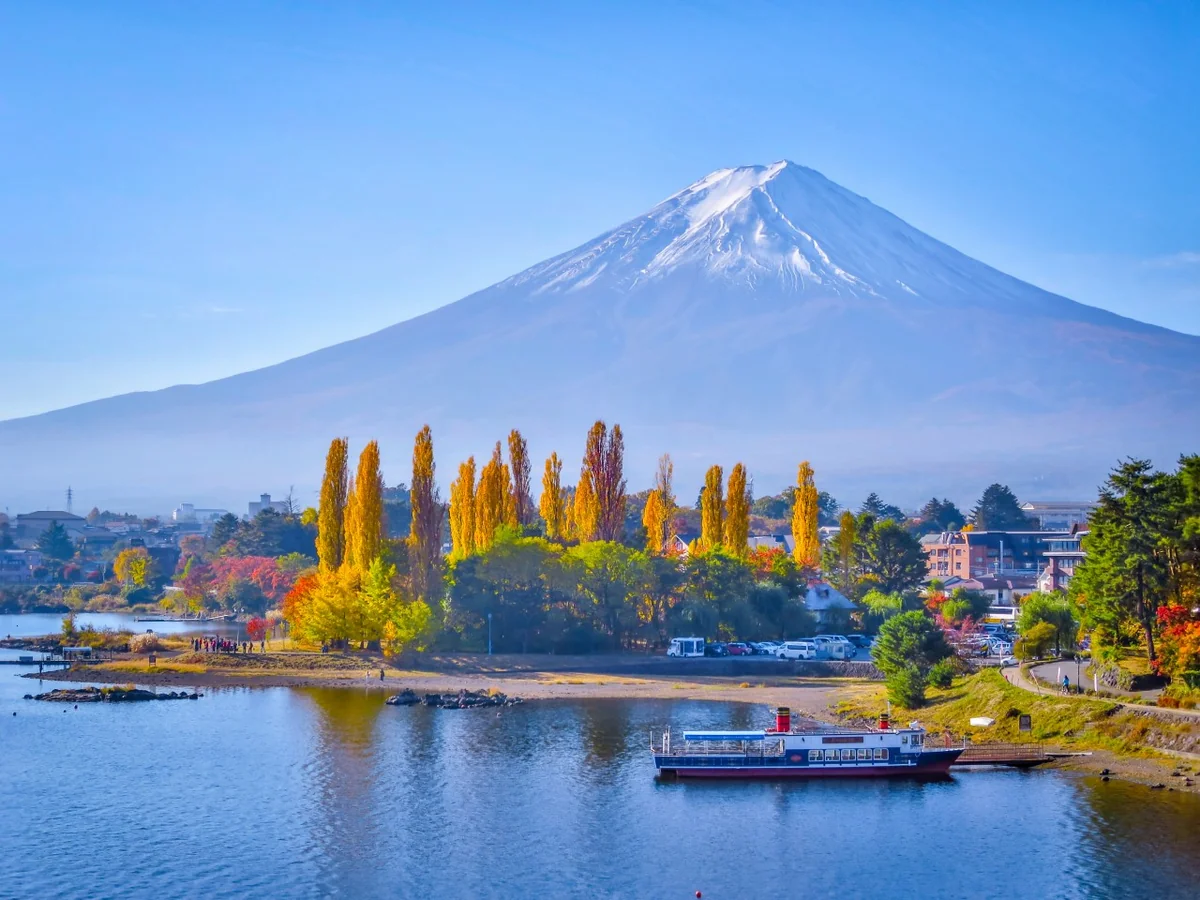 投稿写真：ポプラの黄葉と富士山
