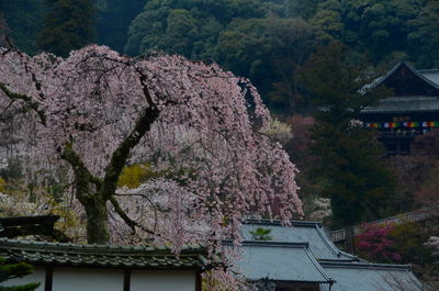  | 絶景事典