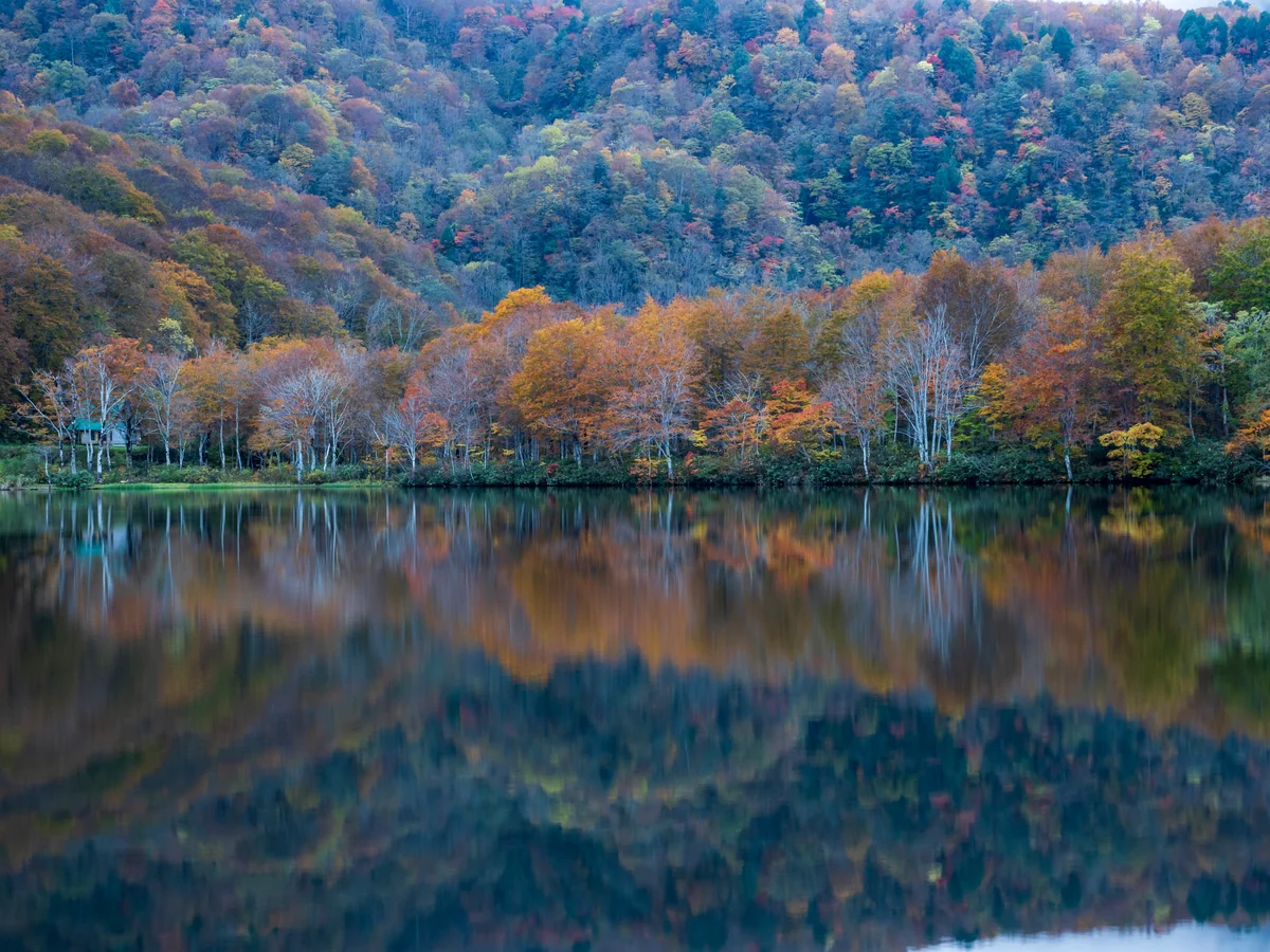 投稿写真：日が昇れない