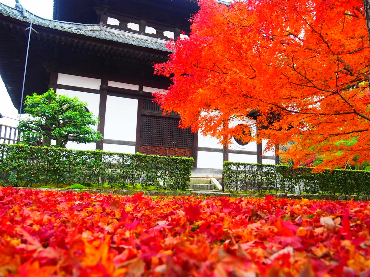 投稿写真：東福寺