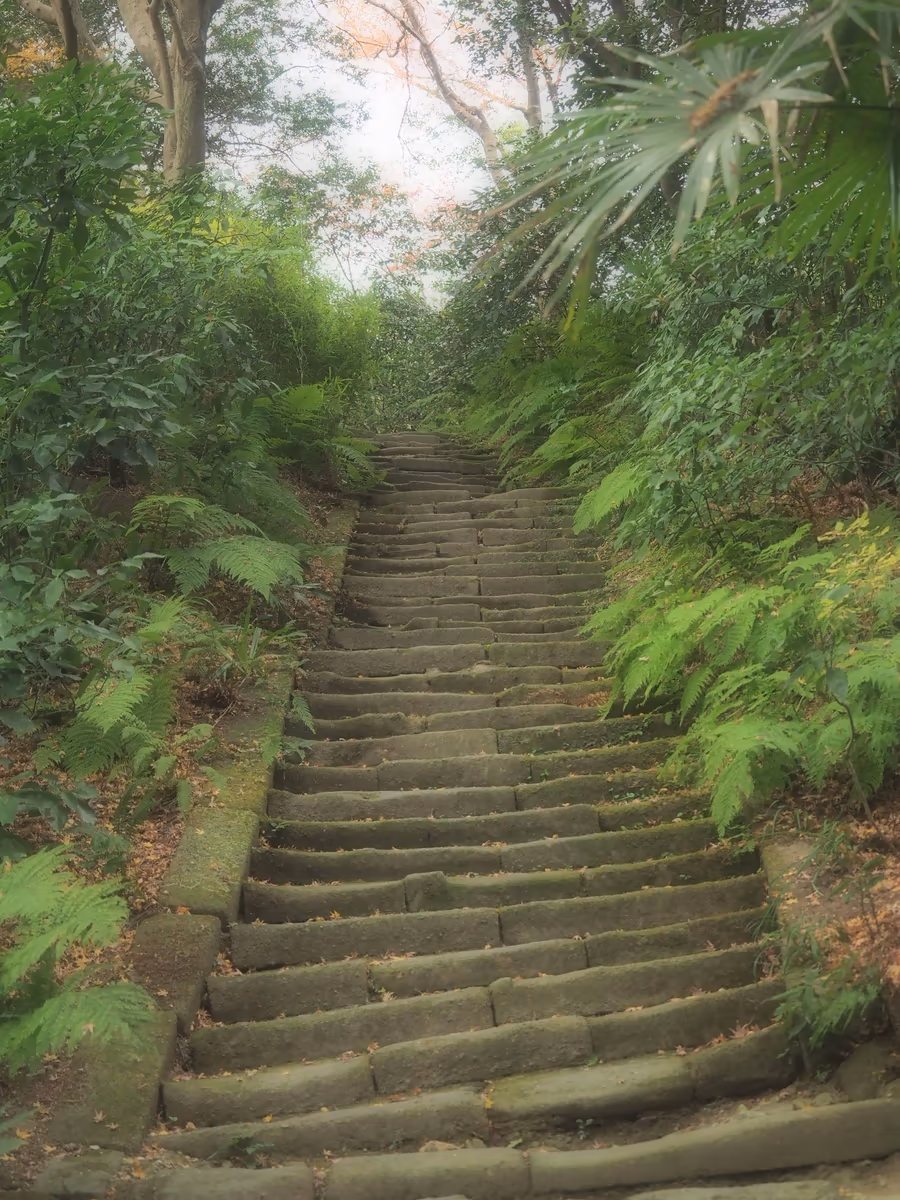 投稿写真：鎌倉瑞泉寺　苔むした石段