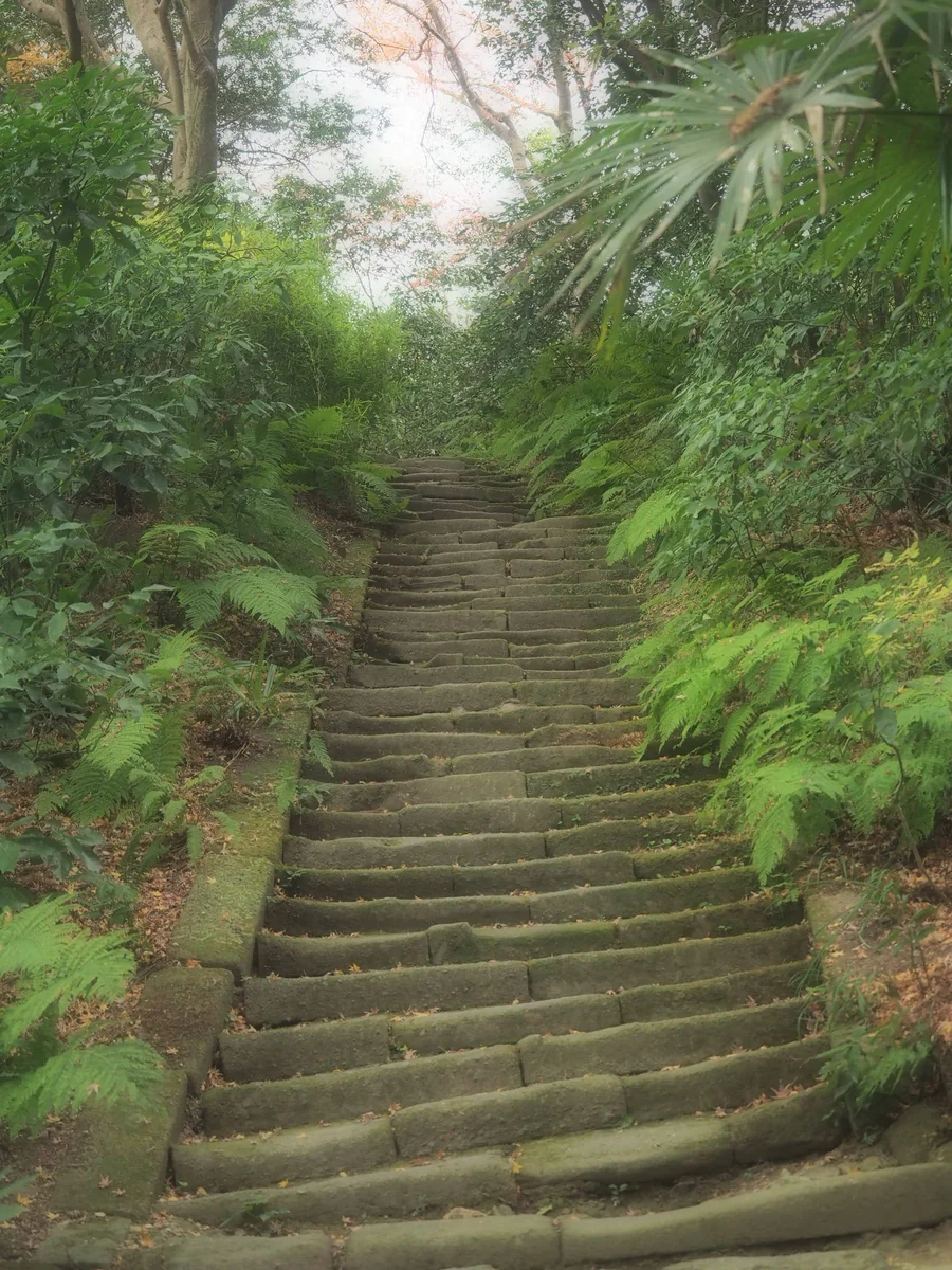投稿写真：鎌倉瑞泉寺　苔むした石段