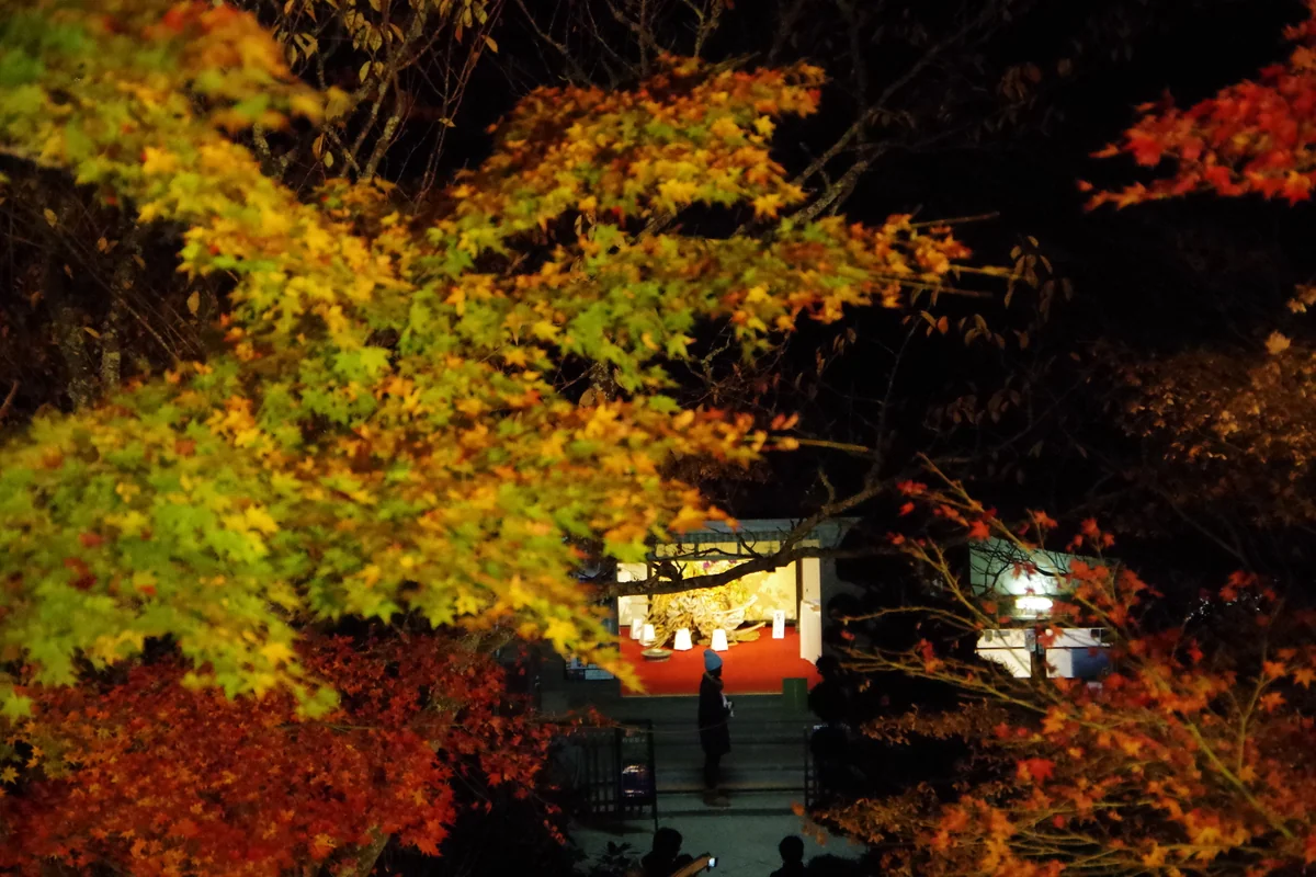 投稿写真：晩秋の播州清水寺