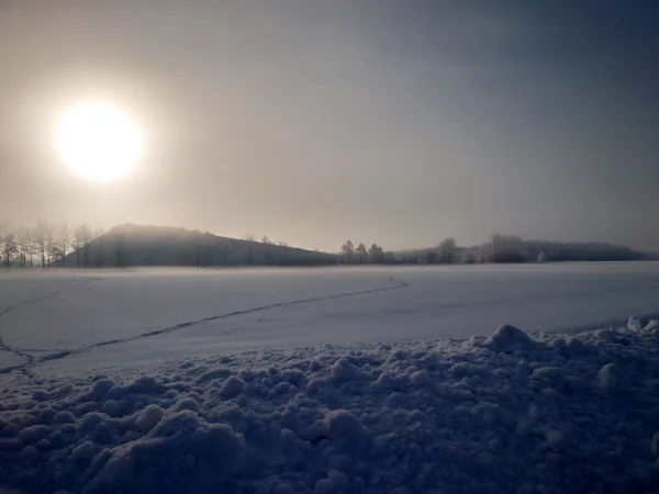 投稿：氷点下１９度の朝