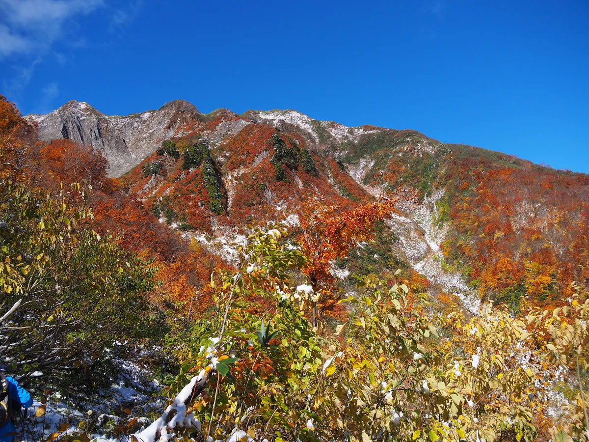 投稿写真：雨飾山の紅葉