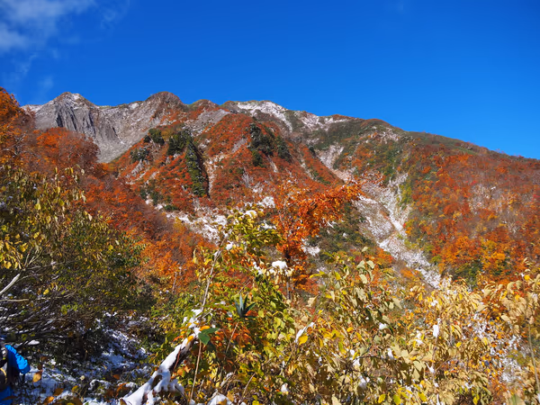 投稿：雨飾山の紅葉