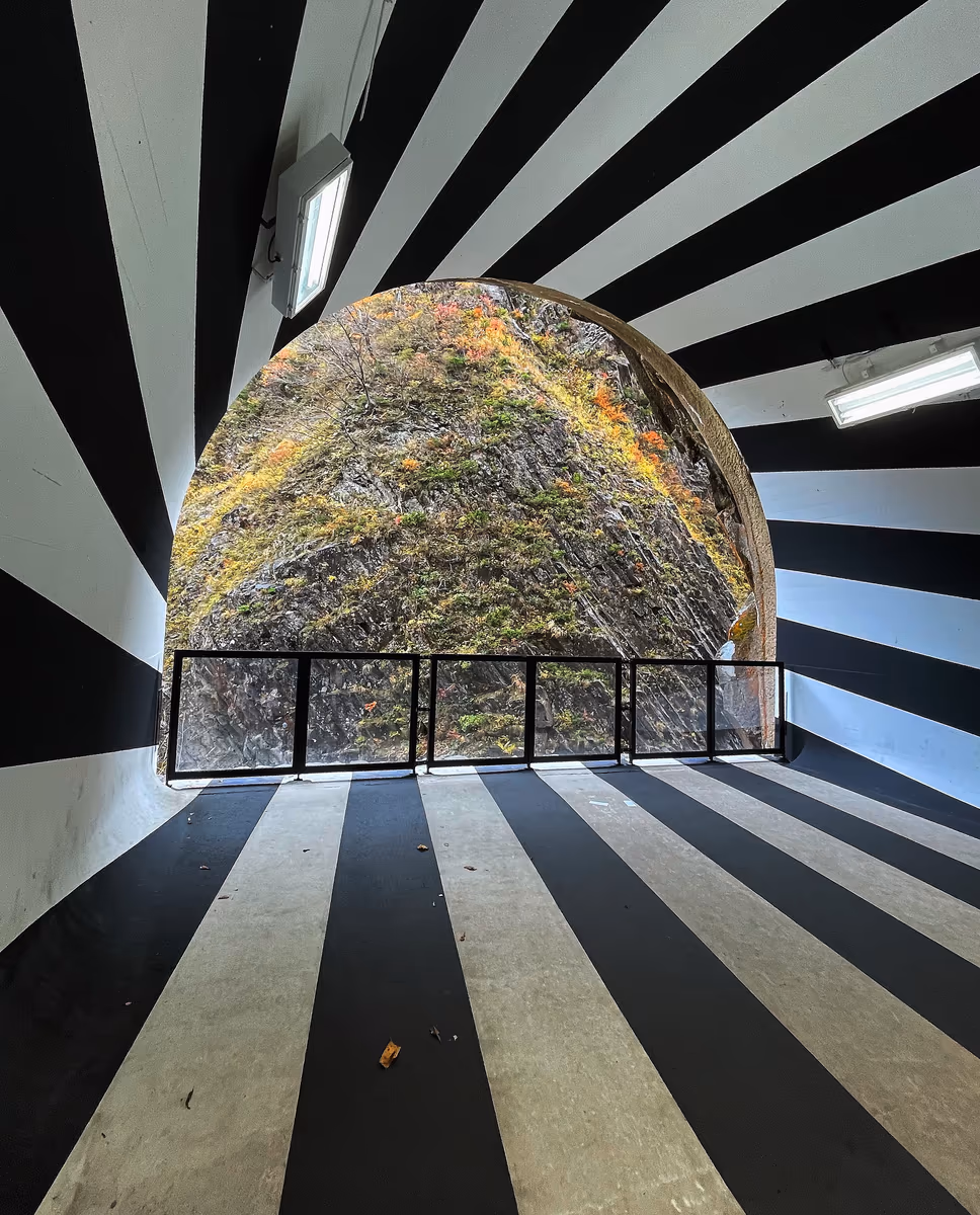 投稿写真：Tunnel of Light