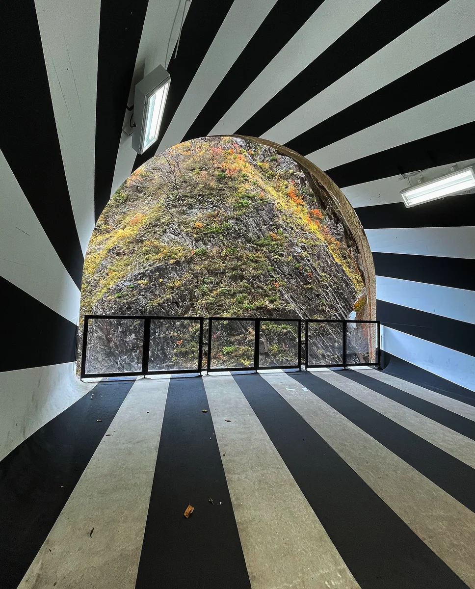 投稿写真：Tunnel of Light