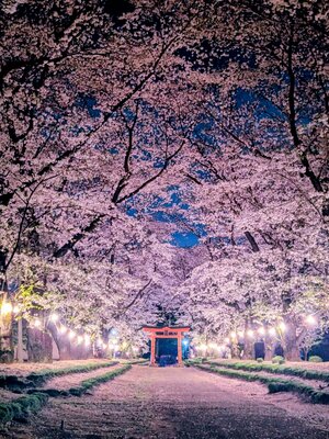  | 絶景事典