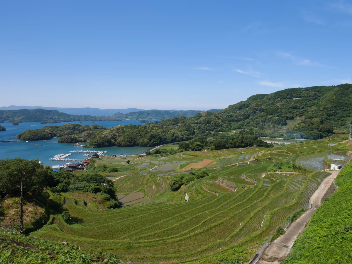 投稿写真：168大浦の棚田（佐賀）