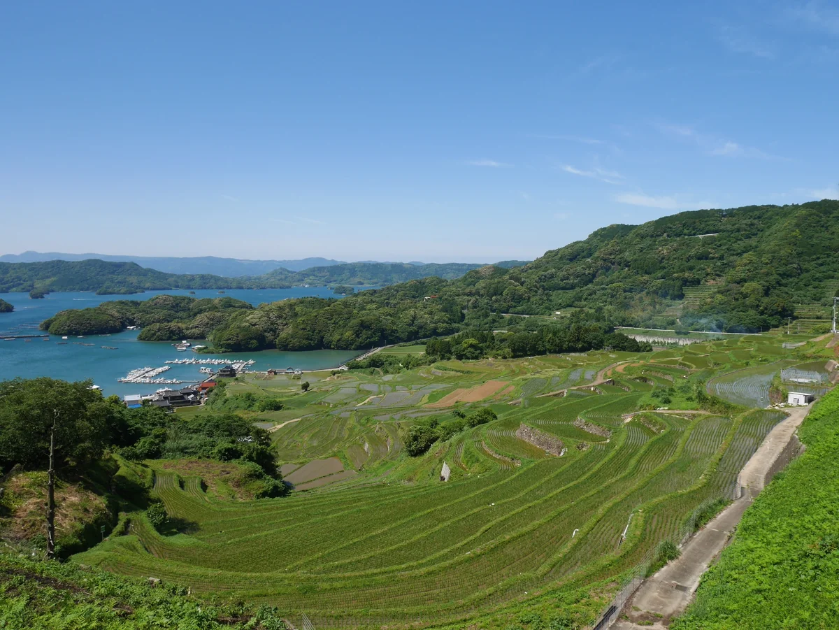 投稿写真：168大浦の棚田（佐賀）