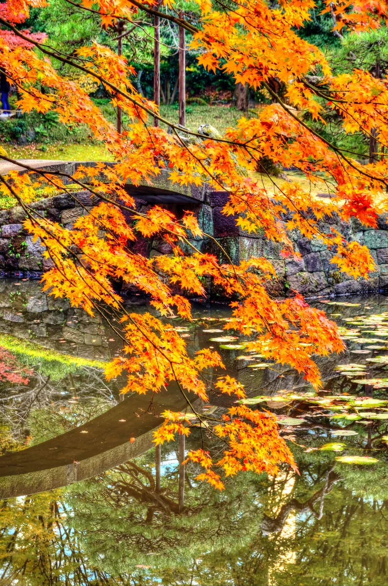 投稿写真：小石川後楽園にて