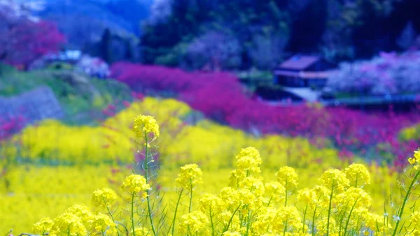 投稿：川角