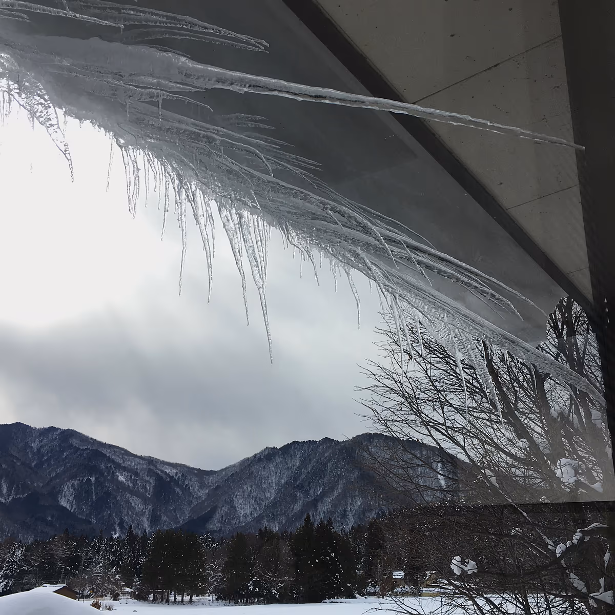 投稿写真：山里の寒々とした風景