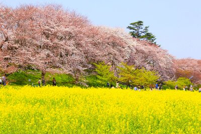  | 絶景事典