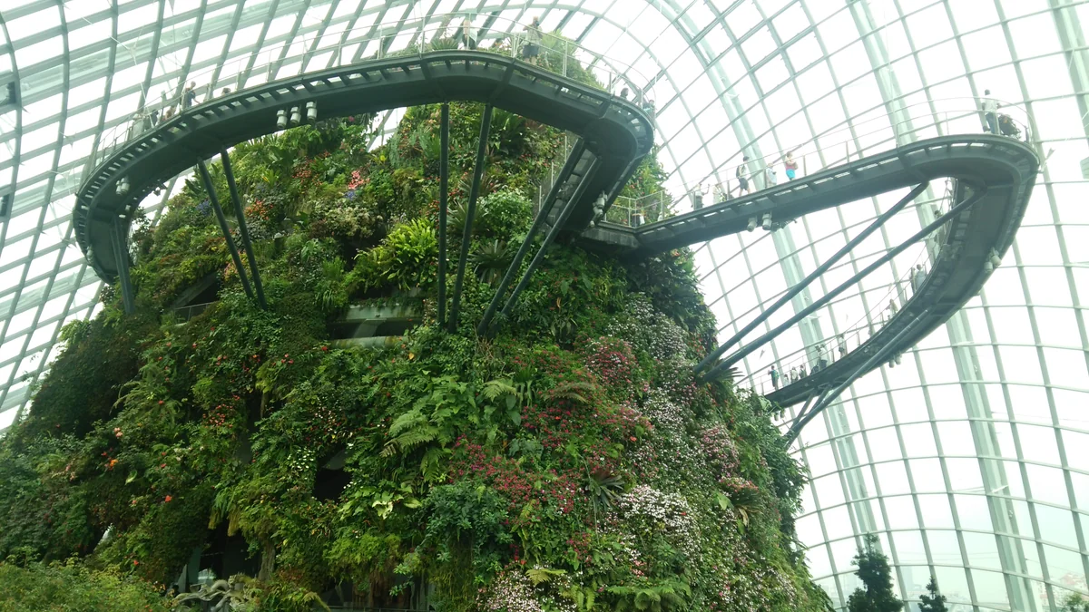 投稿写真：シンガポール・クラウドフォレスト