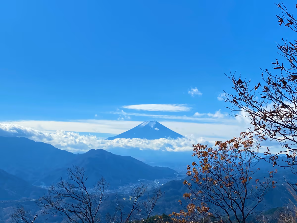 投稿写真：晩秋の富士