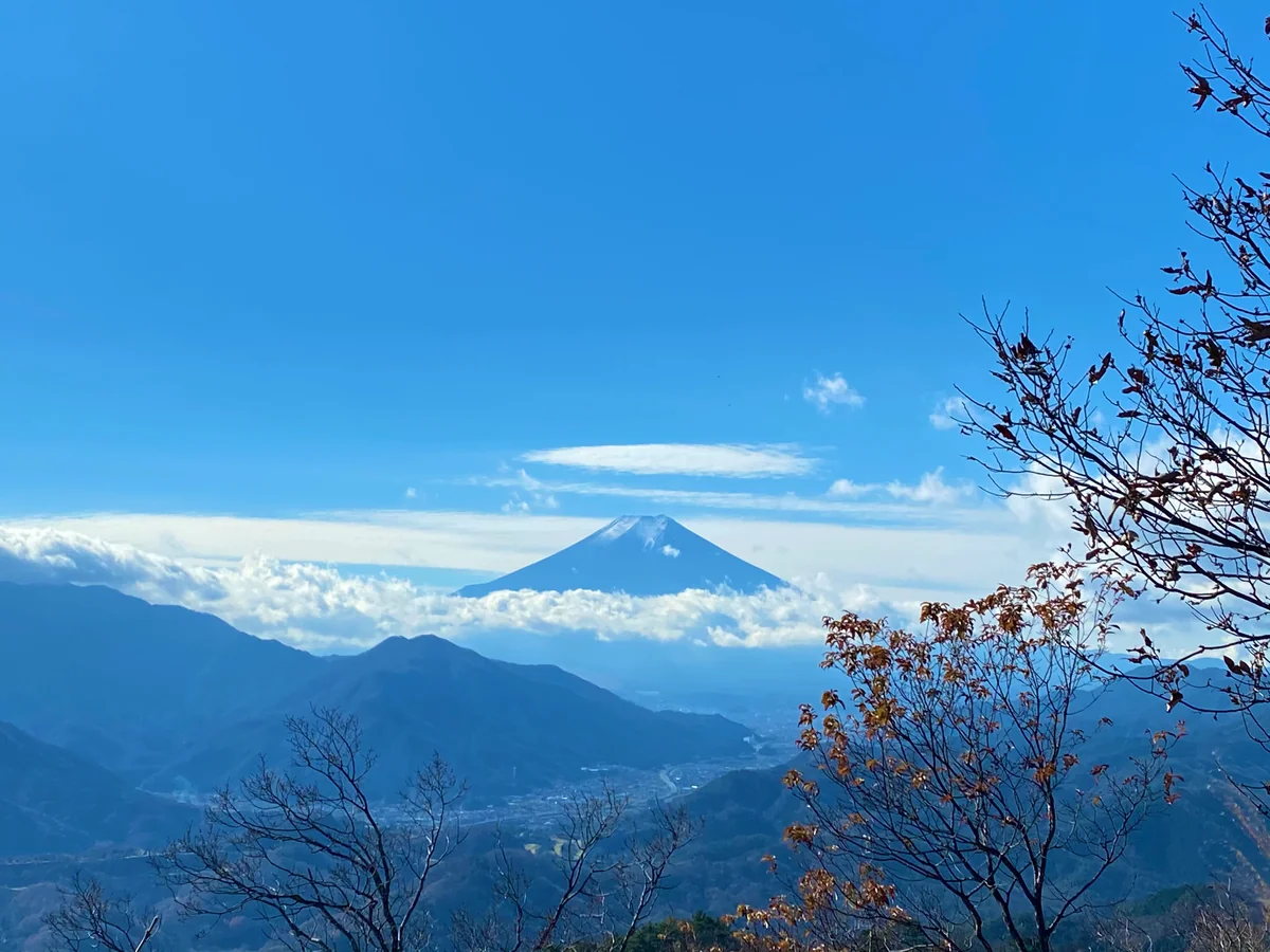 投稿写真：晩秋の富士