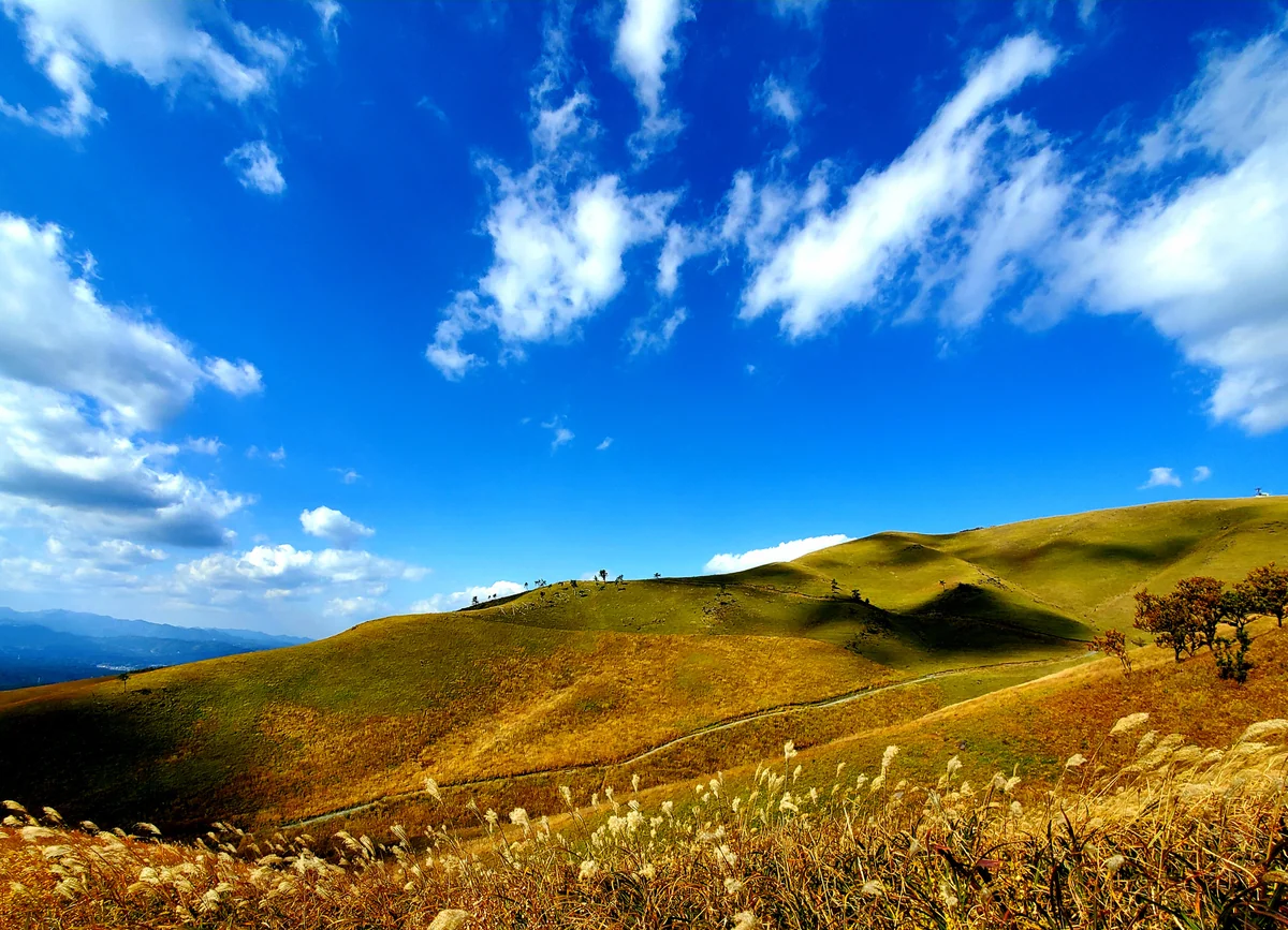 投稿写真：雲の影が通り抜ける草原