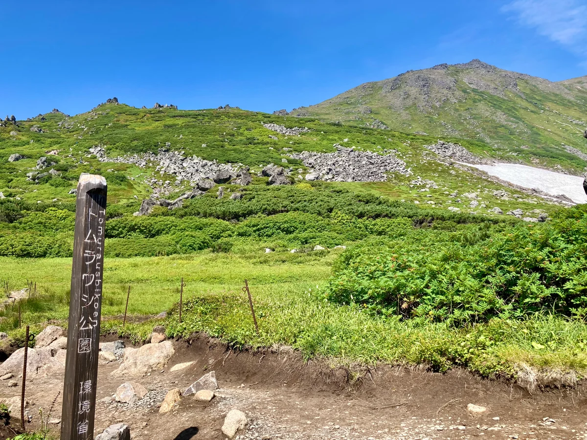 投稿写真：トムラウシ公園