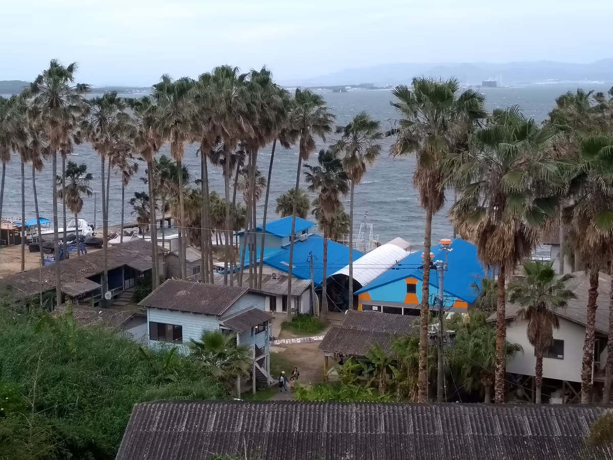 投稿写真：nokonoshima