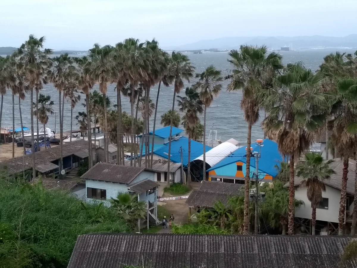投稿写真：nokonoshima