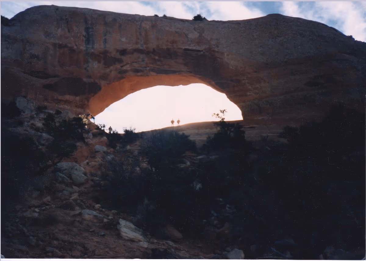 投稿写真：Wison Arch